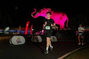 BIB: 
                            <button type="button" onclick="openModal(26535421)" class="btn btn-primary btn-sm float-right btn-popup" data-toggle="modal" data-target=".modal-high-quality">
                        <i class="fas fa-shopping-cart"></i> Add to Cart
                    </button>
                                            <button type="button" onclick="isThisMe(26535421, true)" class="btn btn-success btn-sm float-right btn-popup btn-isme hidden" data-toggle="tooltip" data-placement="bottom" title="นี่คือรูปของคุณใช่ไหม คลิกที่นี่เพื่อเอาเข้าอัลบั้ม">
                        <i class="fas fa-plus"></i> Add to album
                    </button>
                    <button type="button" onclick="isThisMe(26535421, false)" class="btn btn-warning btn-sm float-right btn-popup btn-isnotme hidden">
                        <i class="fas fa-ban"></i> Remove from album
                    </button>